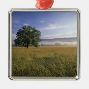 VS, Tennessee. Great Smokey Mountains Metalen Ornament