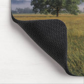 VS, Tennessee. Great Smokey Mountains Muismat (Hoek)