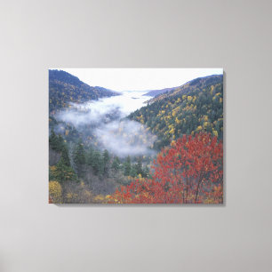 VS, Tennessee, Great Smokey Mountains Nationaal Canvas Afdruk