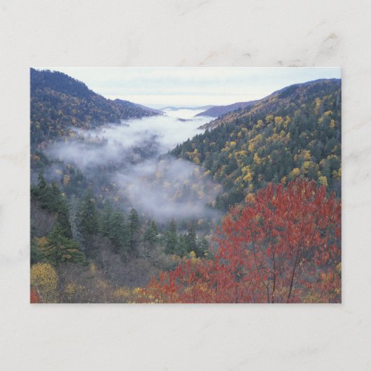 VS, Tennessee, Great Smokey Mountains National Briefkaart (Voorkant)