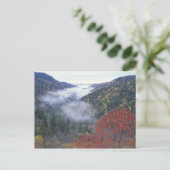VS, Tennessee, Great Smokey Mountains National Briefkaart (Staand voorkant)