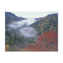 VS, Tennessee, Great Smokey Mountains National