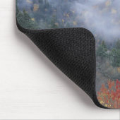 VS, Tennessee, Great Smokey Mountains National Muismat (Hoek)