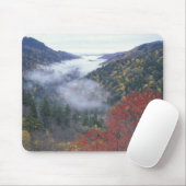 VS, Tennessee, Great Smokey Mountains National Muismat (Met muis)