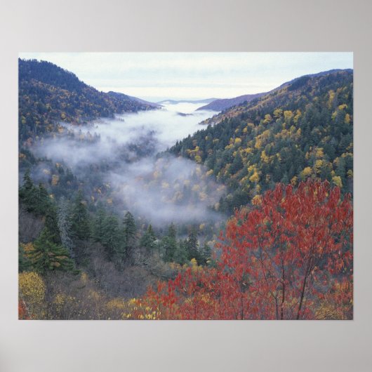VS, Tennessee, Great Smokey Mountains National Poster (Voorkant)