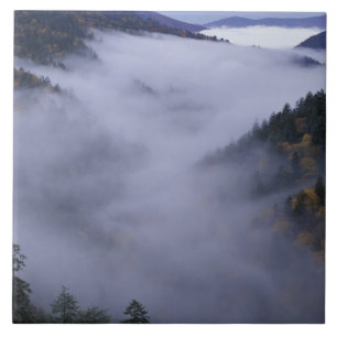 VS, Tennessee. Great Smokey Mountains National Tegeltje