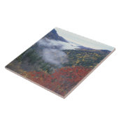 VS, Tennessee, Great Smokey Mountains National Tegeltje (Zijkant)