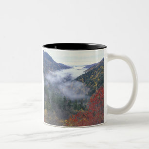 VS, Tennessee, Great Smokey Mountains National Tweekleurige Koffiemok