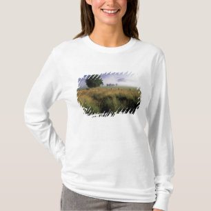 VS, Tennessee, Great Smokey Mountains T-shirt