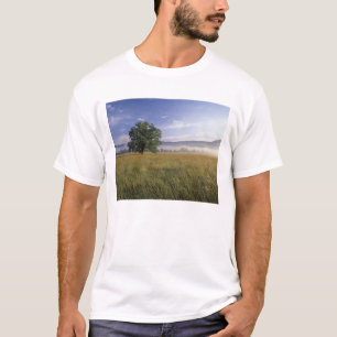 VS, Tennessee. Great Smokey Mountains T-shirt