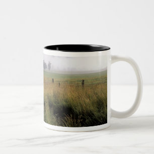 VS, Tennessee, Great Smokey Mountains Tweekleurige Koffiemok