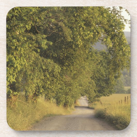 VS, Tennessee, Great Smoky Mountains National 2 Bier Onderzetter (Voorkant)