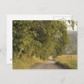 VS, Tennessee, Great Smoky Mountains National 2 Briefkaart (Voorkant / Achterkant)