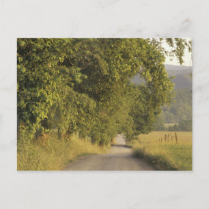 VS, Tennessee, Great Smoky Mountains National 2 Briefkaart