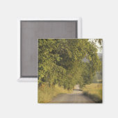 VS, Tennessee, Great Smoky Mountains National 2 Magneet (Voorkant / Achterkant)