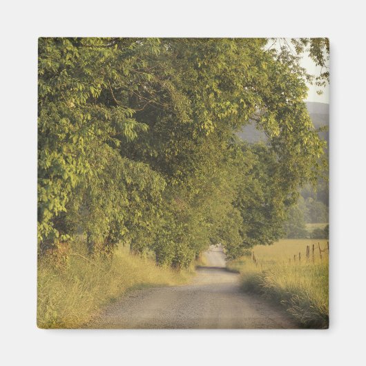 VS, Tennessee, Great Smoky Mountains National 2 Magneet (Voorkant)