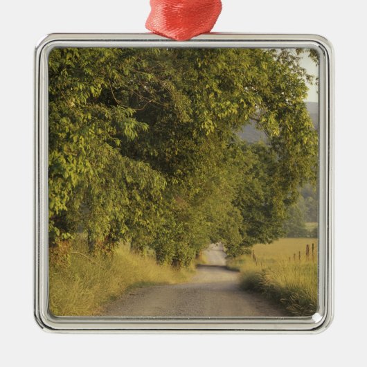 VS, Tennessee, Great Smoky Mountains National 2 Metalen Ornament (Voorkant)