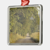 VS, Tennessee, Great Smoky Mountains National 2 Metalen Ornament (Links)