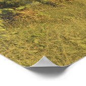 VS, Tennessee, Great Smoky Mountains National 2 Poster (Hoek)