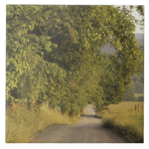 VS, Tennessee, Great Smoky Mountains National 2 Tegeltje