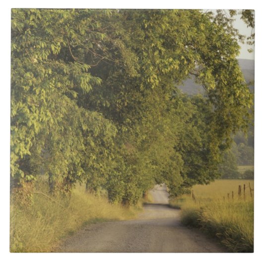 VS, Tennessee, Great Smoky Mountains National 2 Tegeltje (Voorkant)