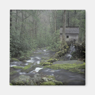 VS, Tennessee, Great Smoky Mountains National 3 Magneet