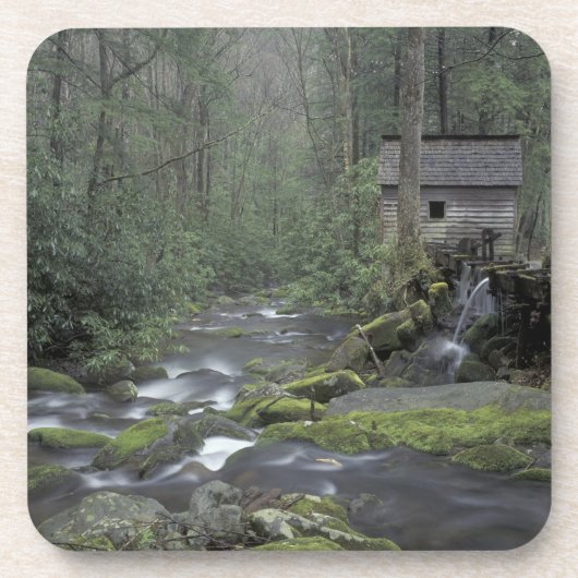 VS, Tennessee, Great Smoky Mountains National 3 Onderzetter (Voorkant)