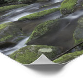 VS, Tennessee, Great Smoky Mountains National 3 Poster (Hoek)