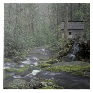 VS, Tennessee, Great Smoky Mountains National 3 Tegeltje