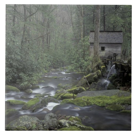 VS, Tennessee, Great Smoky Mountains National 3 Tegeltje (Voorkant)