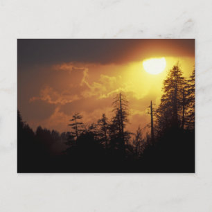 VS, Tennessee, Great Smoky Mountains NP. 2 Briefkaart