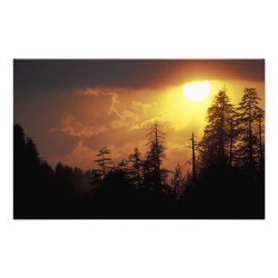 VS, Tennessee, Great Smoky Mountains NP. 2 Foto Afdruk