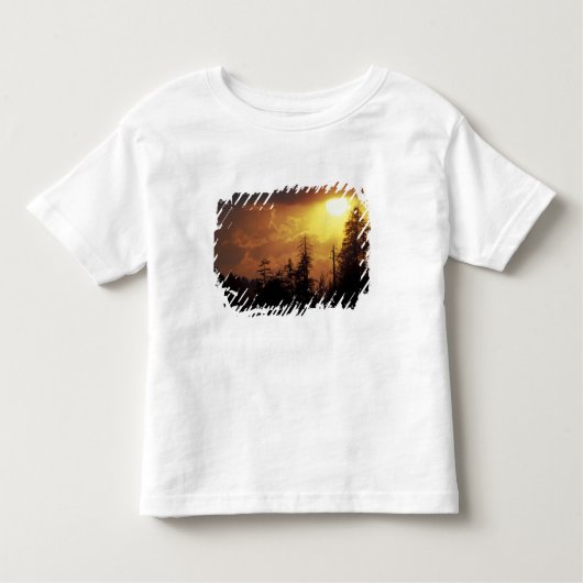 VS, Tennessee, Great Smoky Mountains NP. 2 Kinder Shirts (Voorkant)