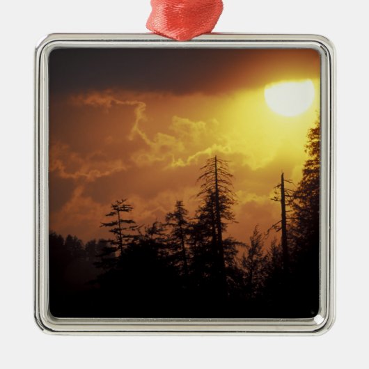 VS, Tennessee, Great Smoky Mountains NP. 2 Metalen Ornament (Voorkant)