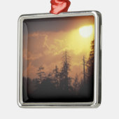 VS, Tennessee, Great Smoky Mountains NP. 2 Metalen Ornament (Links)