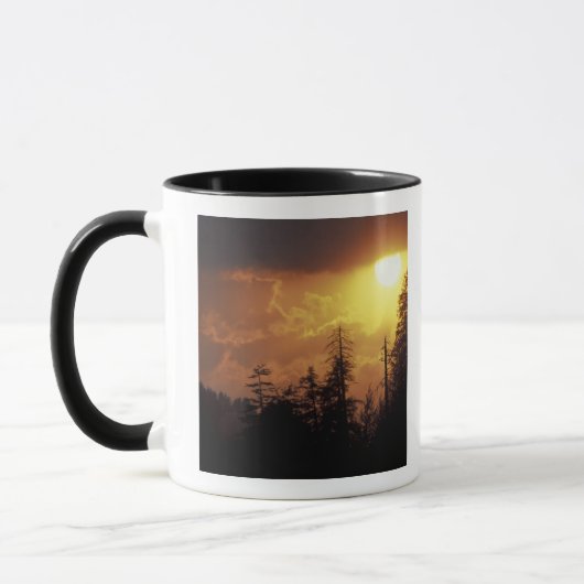 VS, Tennessee, Great Smoky Mountains NP. 2 Mok (Links)
