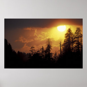 VS, Tennessee, Great Smoky Mountains NP. 2 Poster