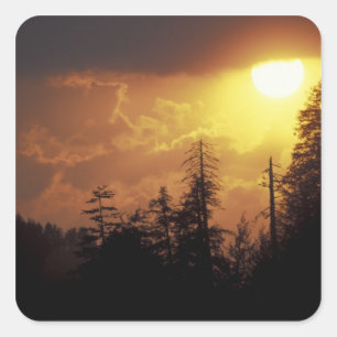 VS, Tennessee, Great Smoky Mountains NP. 2 Vierkante Sticker