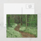 VS, Tennessee, Great Smoky Mountains NP, 3 Briefkaart (Voorkant / Achterkant)