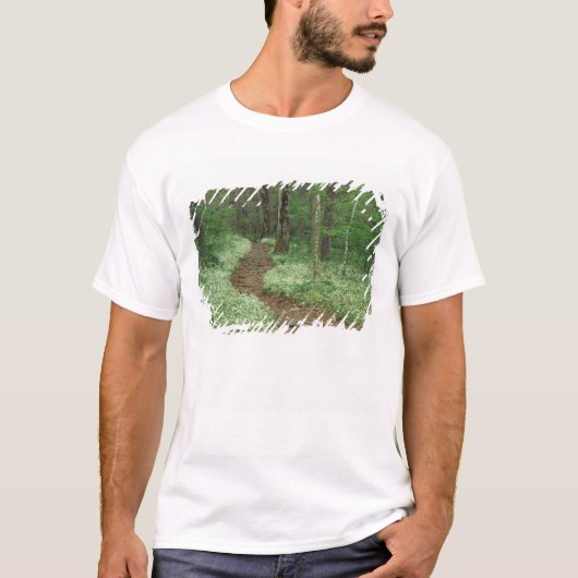 VS, Tennessee, Great Smoky Mountains NP, 3 T-shirt (Voorkant)