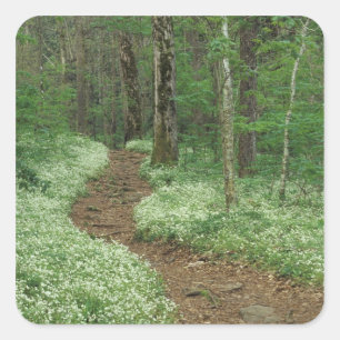VS, Tennessee, Great Smoky Mountains NP, 3 Vierkante Sticker