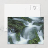 VS, Tennessee, Great Smoky Mountains NP. Briefkaart (Voorkant / Achterkant)