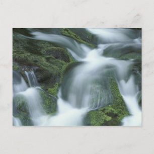 VS, Tennessee, Great Smoky Mountains NP. Briefkaart