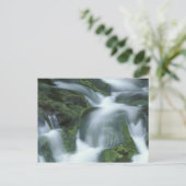 VS, Tennessee, Great Smoky Mountains NP. Briefkaart (Staand voorkant)