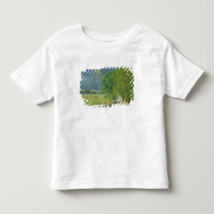 VS, Tennessee, Great Smoky Mountains NP, Kinder Shirts