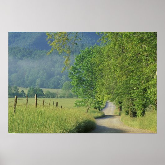 VS, Tennessee, Great Smoky Mountains NP, Poster (Voorkant)