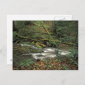 VS, Tennessee. Grote Zuidvork Briefkaart (Voorkant / Achterkant)