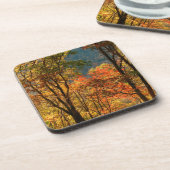 VS, Tennessee. Herfst Bier Onderzetter (Linkerzijde)