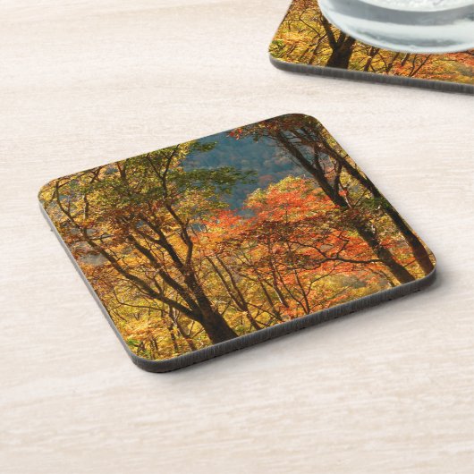 VS, Tennessee. Herfst Bier Onderzetter (Linkerzijde)