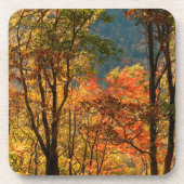 VS, Tennessee. Herfst Bier Onderzetter (Voorkant)